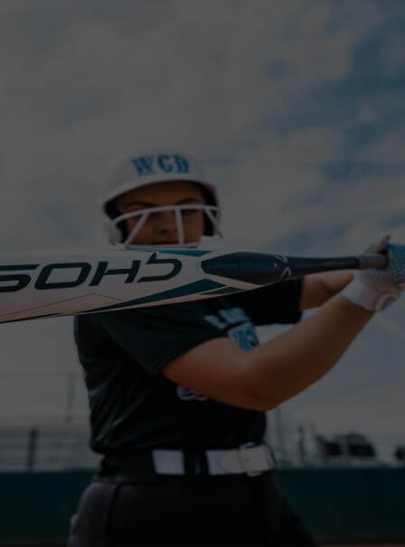 Baseball bat