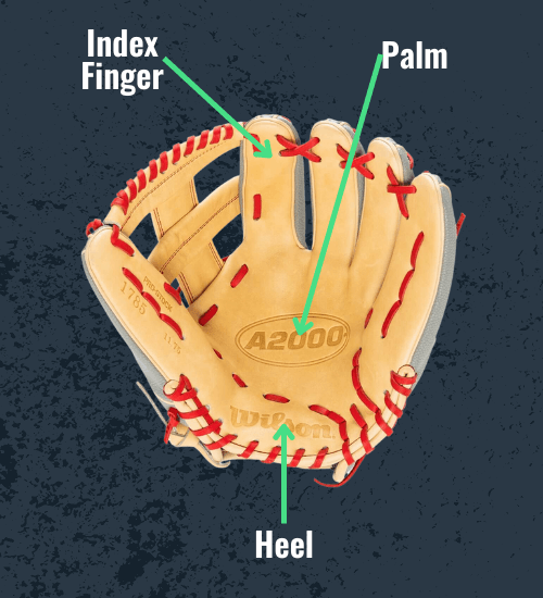 How to measure glove size