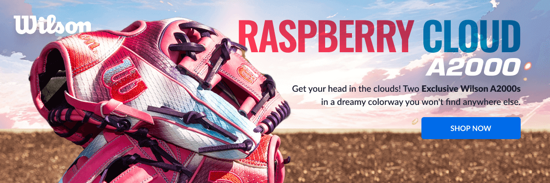 Raspberry Cloud A2000 - Shop Now