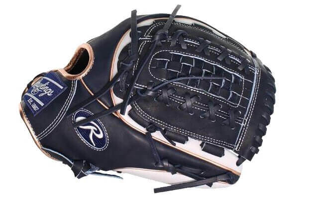 web glove training baseball glove