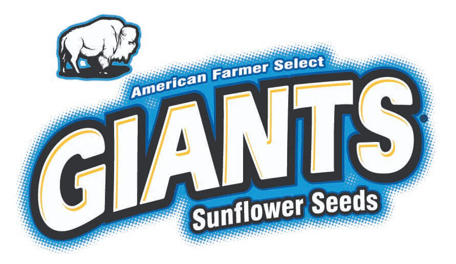 are spitz sunflower seeds gmo