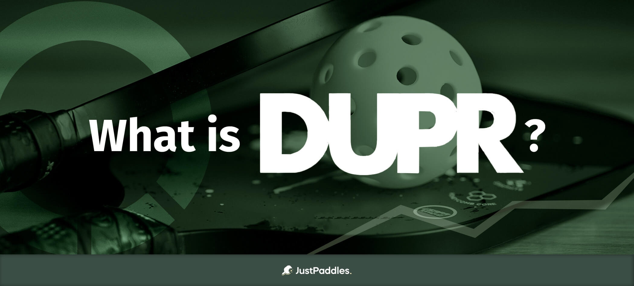 What is DUPR in Pickleball