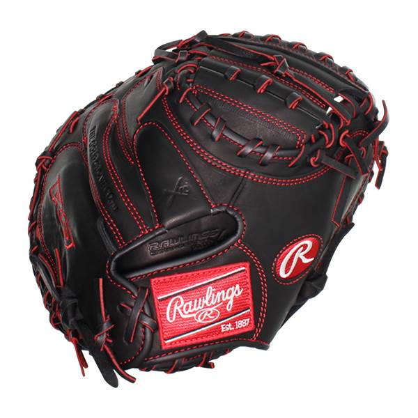 r9 catchers mitt