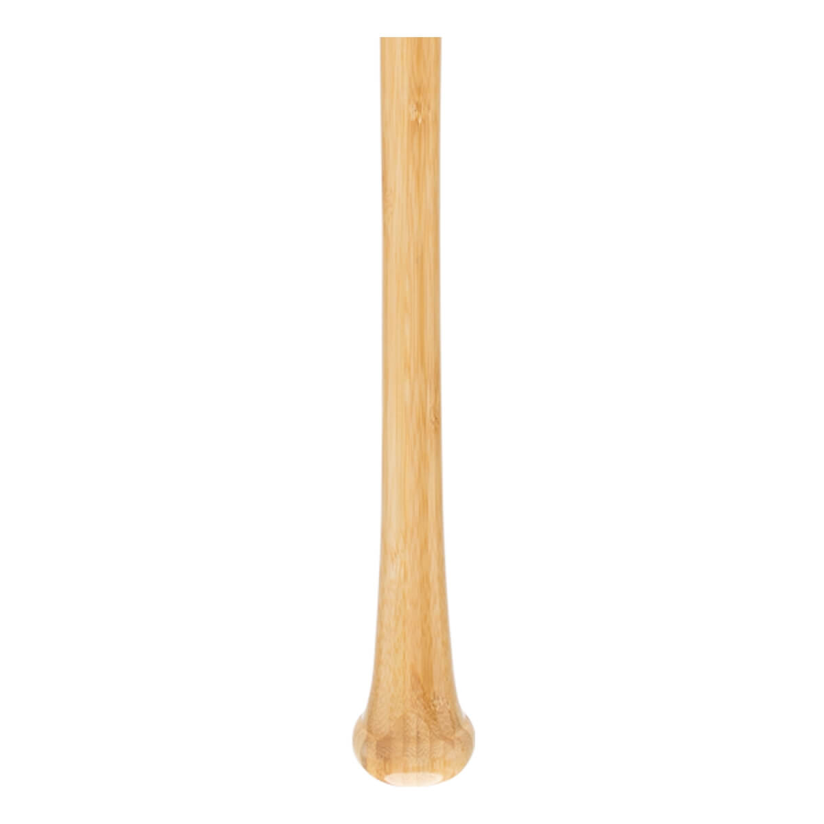 Bottom view of a natural bamboo baseball bat with a smooth, rounded knob.