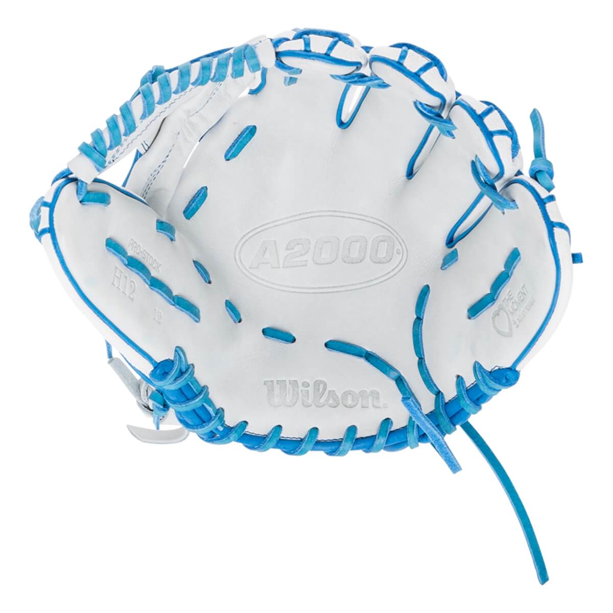 Wilson A2000 Autism Speaks SuperSkin H12 12" Fastpitch Softball Glove: WBW10210812: Image #452281