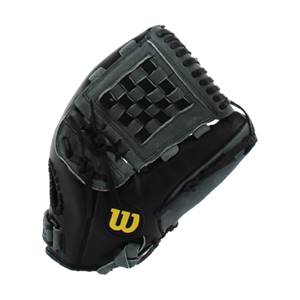 Wilson A360 Series Baseball Youth Glove: WTA03RB15125: Image #307801
