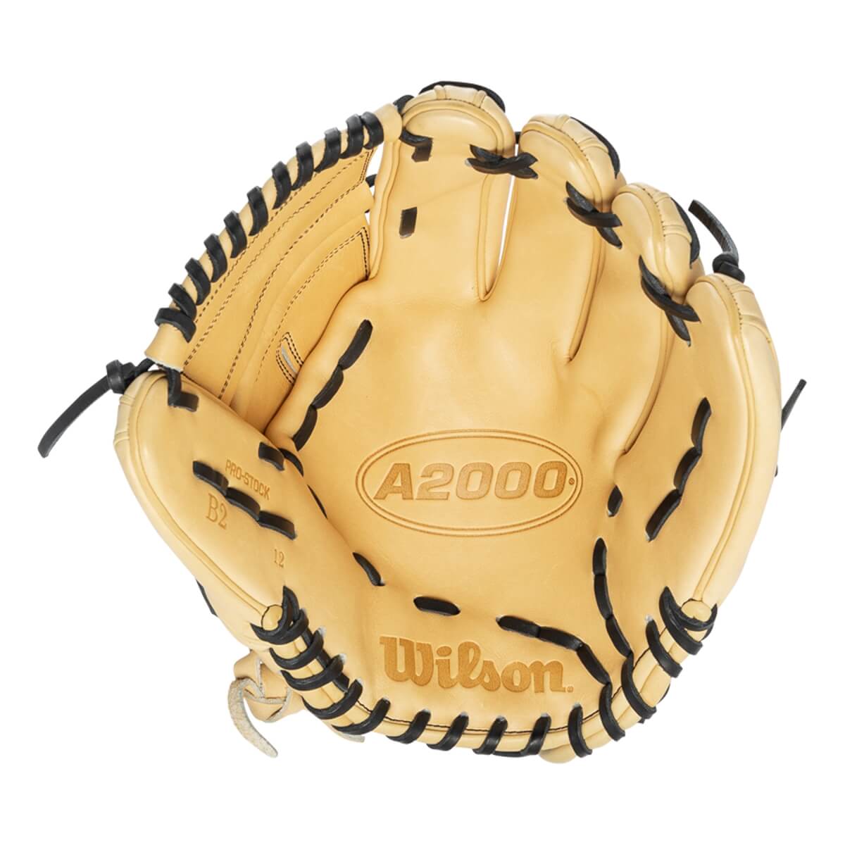 Wilson A2000 B2 12" Baseball Glove: WBW10138912: Image #435170
