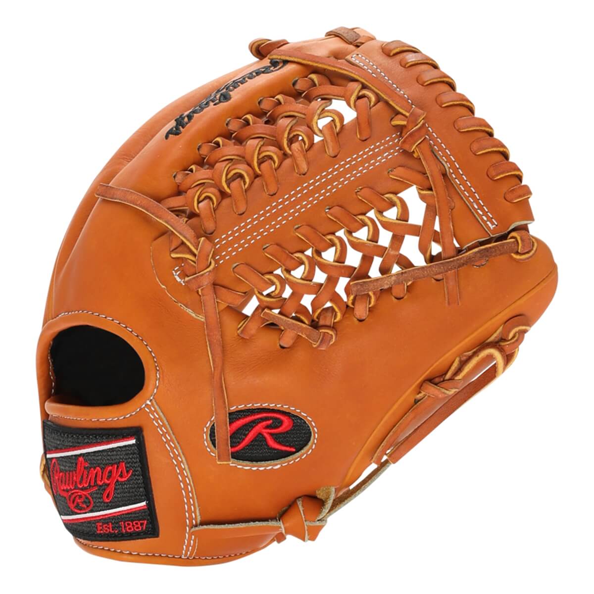 Rawlings Heart of the Hide R2G 11.75" Baseball Glove: PROR205-4T: Image #417385