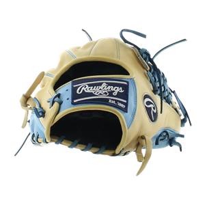 Rawlings Heart of the Hide 11.5" Custom Baseball Glove: PRO204-4: Image #317566