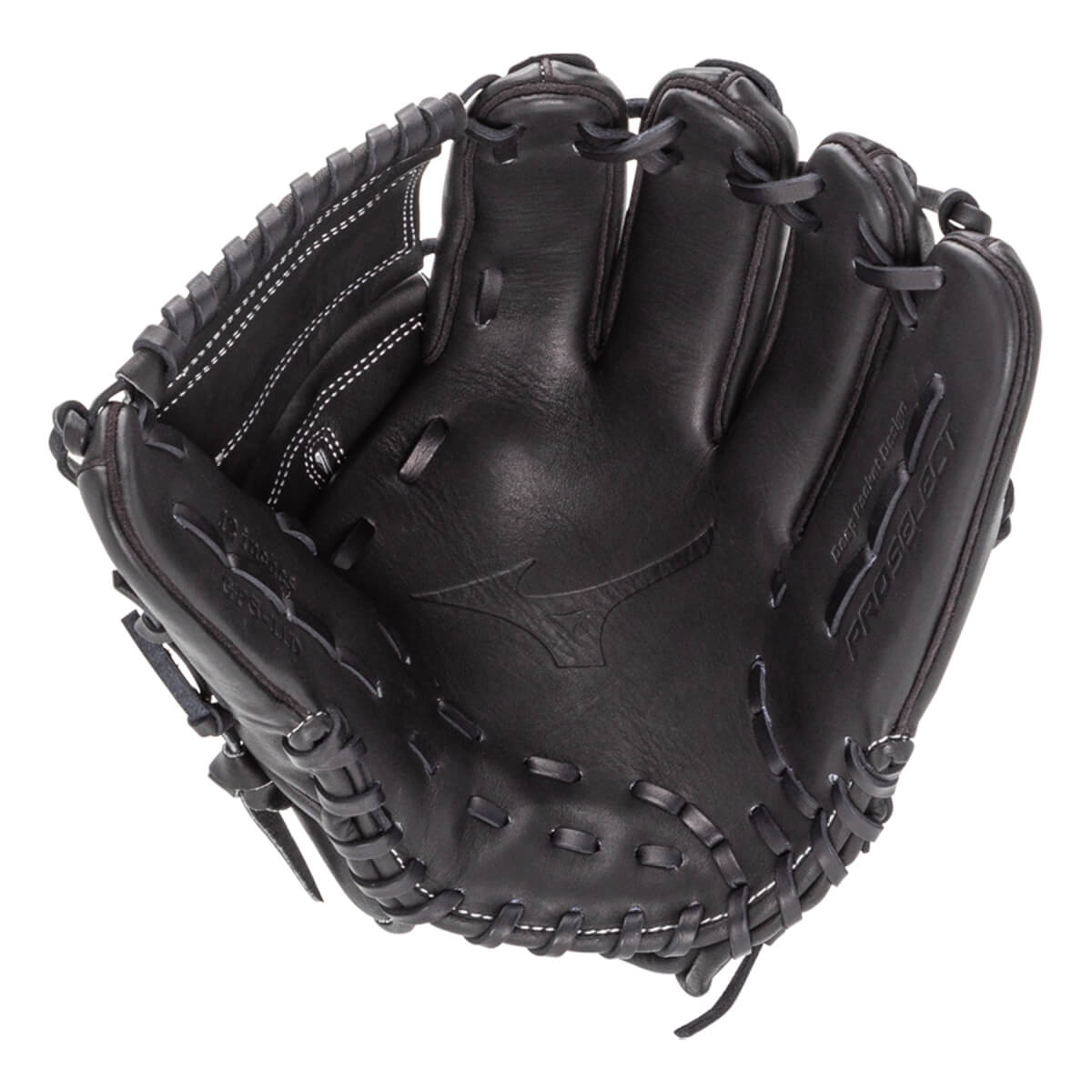 Mizuno Pro Select 12" Baseball Glove: GPS-11D: Image #450623