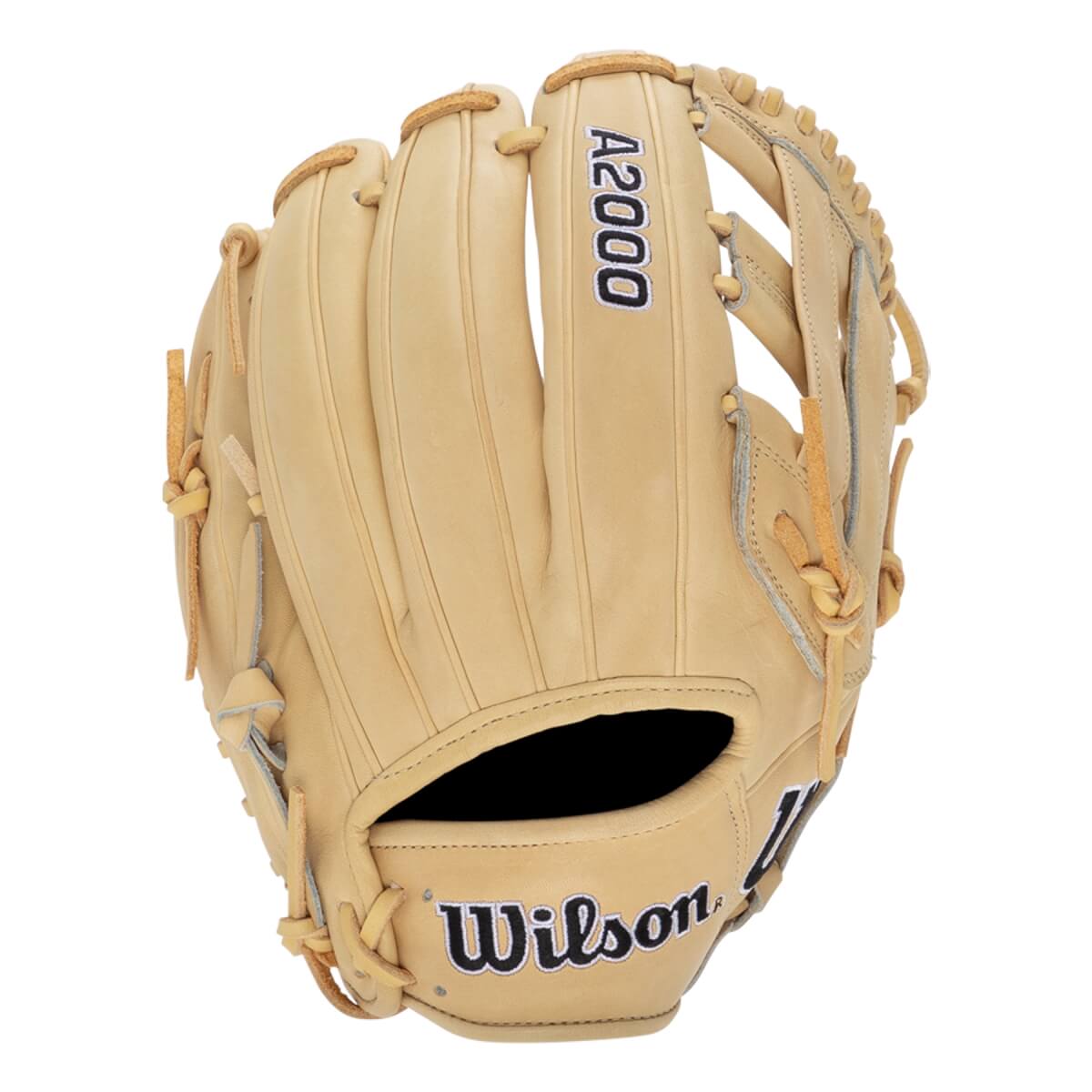 Wilson A2000 Glove Day DW5 12" Baseball Glove: WBW10207812: Image #441925