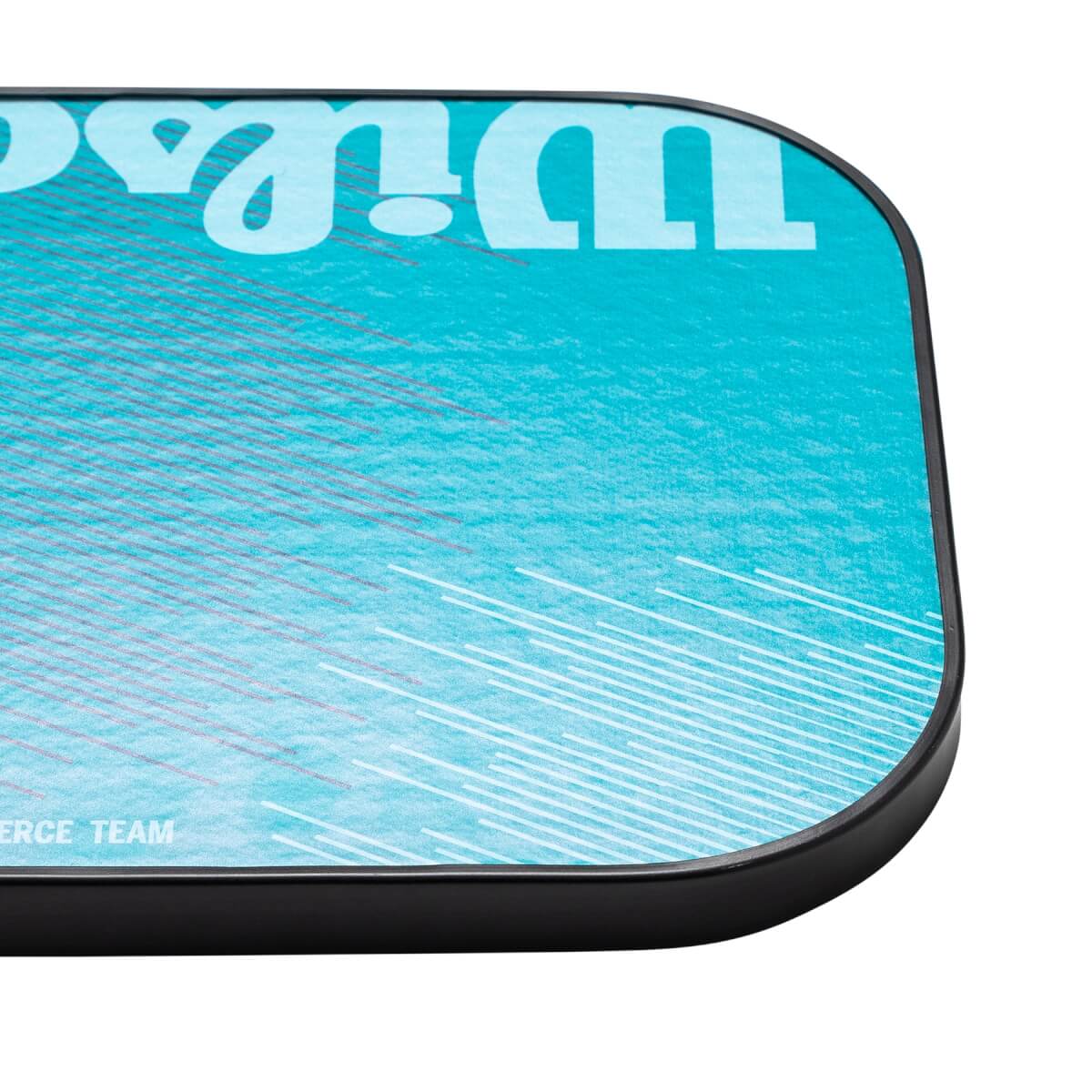 Wilson Fierce TEAM Composite Pickleball Paddle: Image #440544