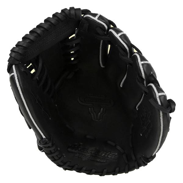 Akadema Professional Series: ASL20: Image #278565