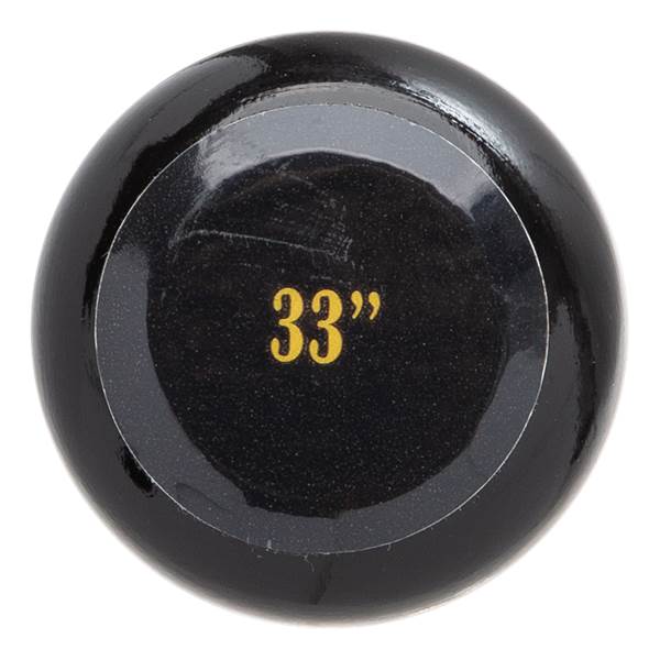 Axis Axcelerator Weighted Training Bat (AXCEL)