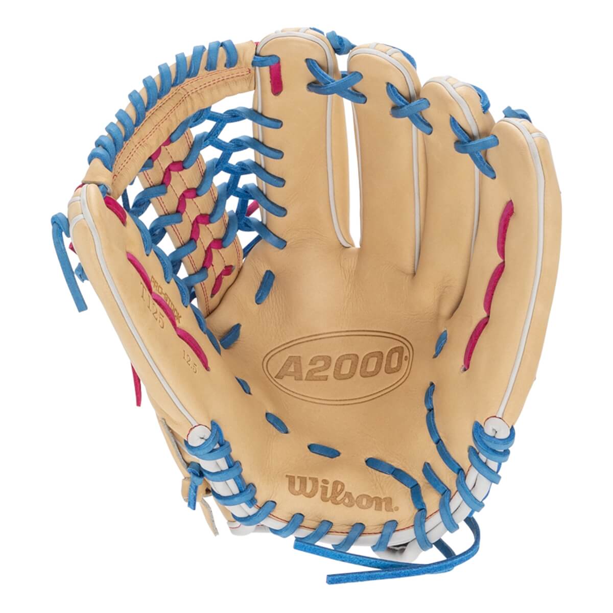 Wilson A2000 T125 12.5" Winter Collection Fastpitch Softball Glove: WBW102742125: Image #450287