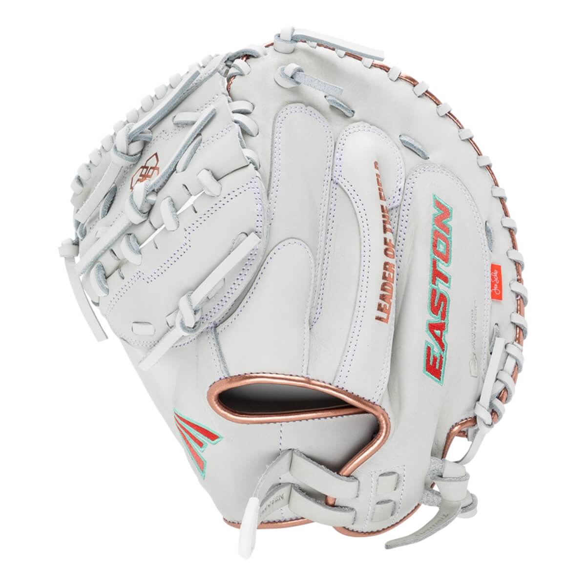 Easton Elite Series Jen Schroeder MY WHY 33" Fastpitch Catcher's Mitt: MYWHY-THENONO: Image #447575