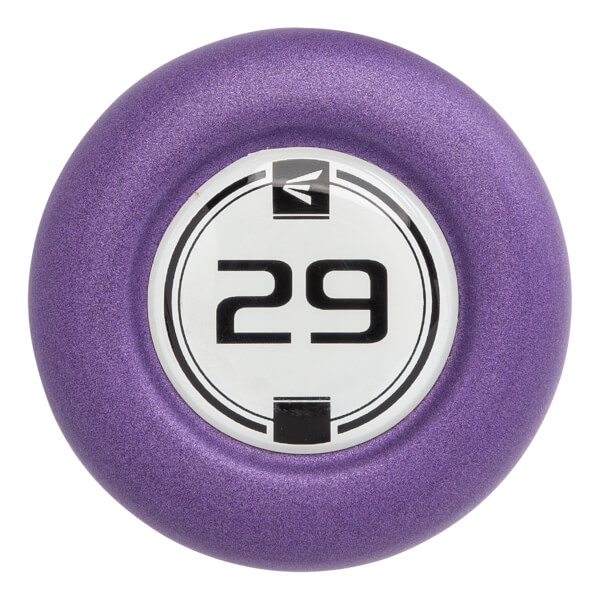 Easton Wonderlite -13 Fastpitch Softball Bat (FP19WL13) | JustBats.com