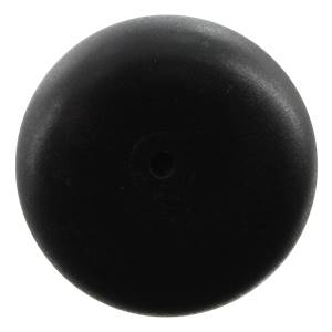 Chandler Aaron Judge XP Maple Wood Baseball Bat: AJ99: Image #359651