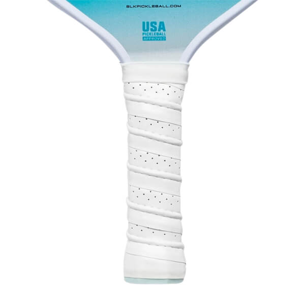 Selkirk SLK EVO Hybrid 2.0 XL Middleweight Composite Pickleball Paddle ...