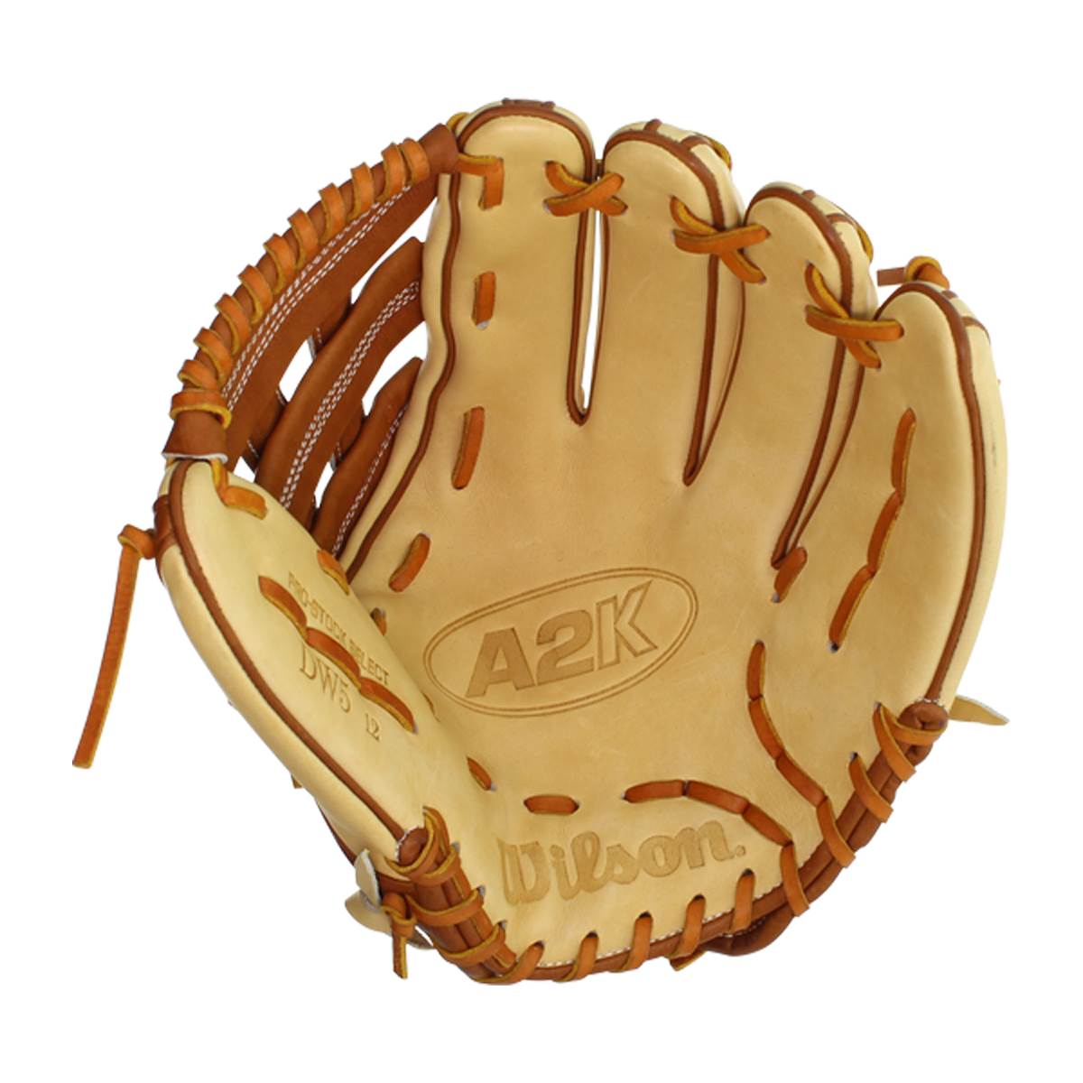 Wilson A2K Spring Training Stock DW5 12" Baseball Glove: WTA2004PSDW5SB: Image #382936