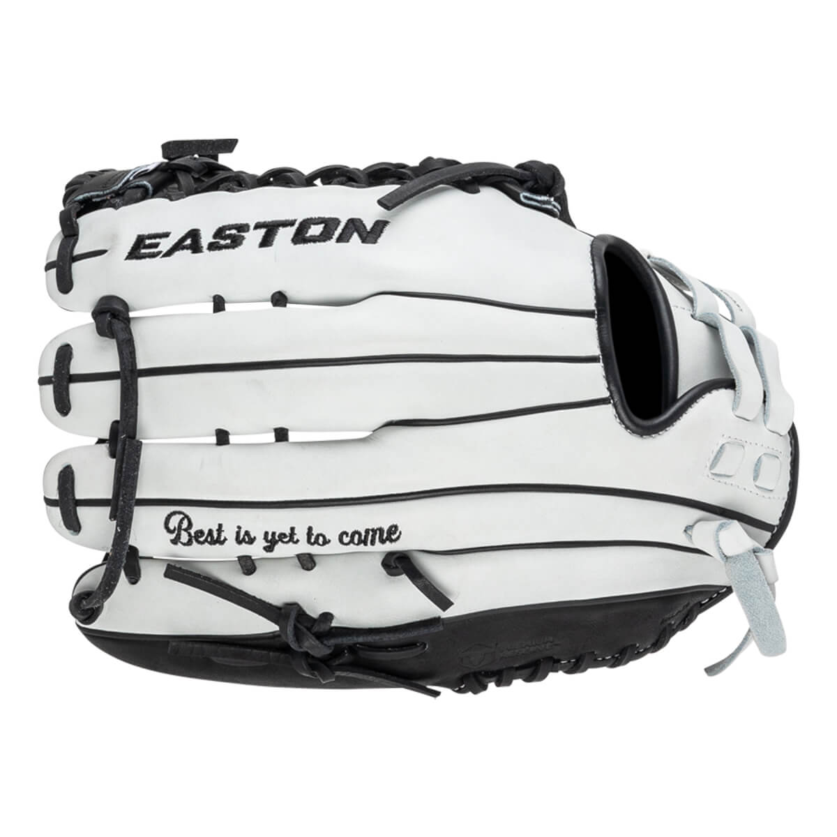 Easton Professional Collection Haylie McCleney 12.75" Fastpitch Softball Glove: HM828: Image #438410