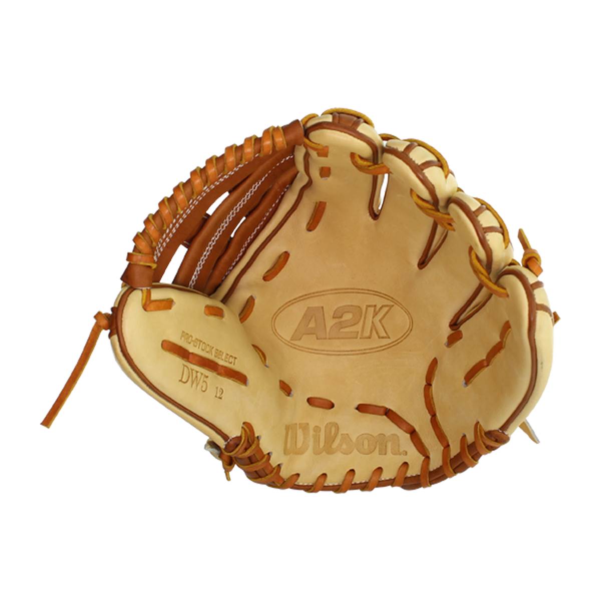 Wilson A2K Spring Training Stock DW5 12" Baseball Glove: WTA2004PSDW5SB: Image #382940