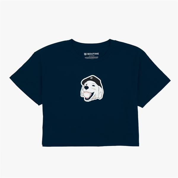 Stitches Cropped T-Shirt