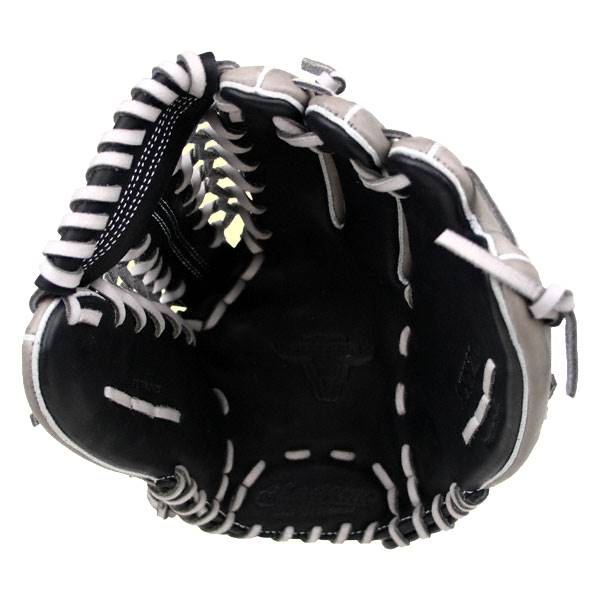 Akadema Reptilian Series: AXX21: Image #281142