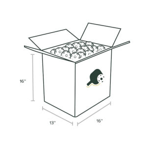 HEAD Penn 40 Outdoor Pickleballs 100-Pack: Image #420307