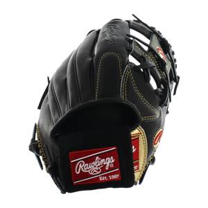 Rawlings Gold Glove 11.75" Baseball Glove: RGGNP5-2B: Image #311057