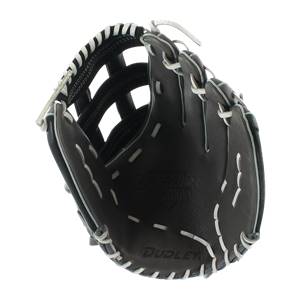 Dudley Pro Soft Lightning Series Slow Pitch Softball Glove: DL1400: Image #306449