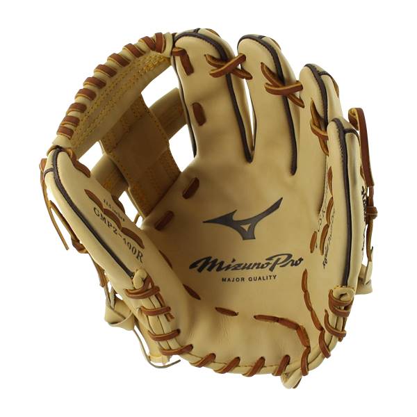 Mizuno Pro 11.5