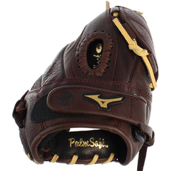 Mizuno GFN1300S1 Franchise Slowpitch Glove
