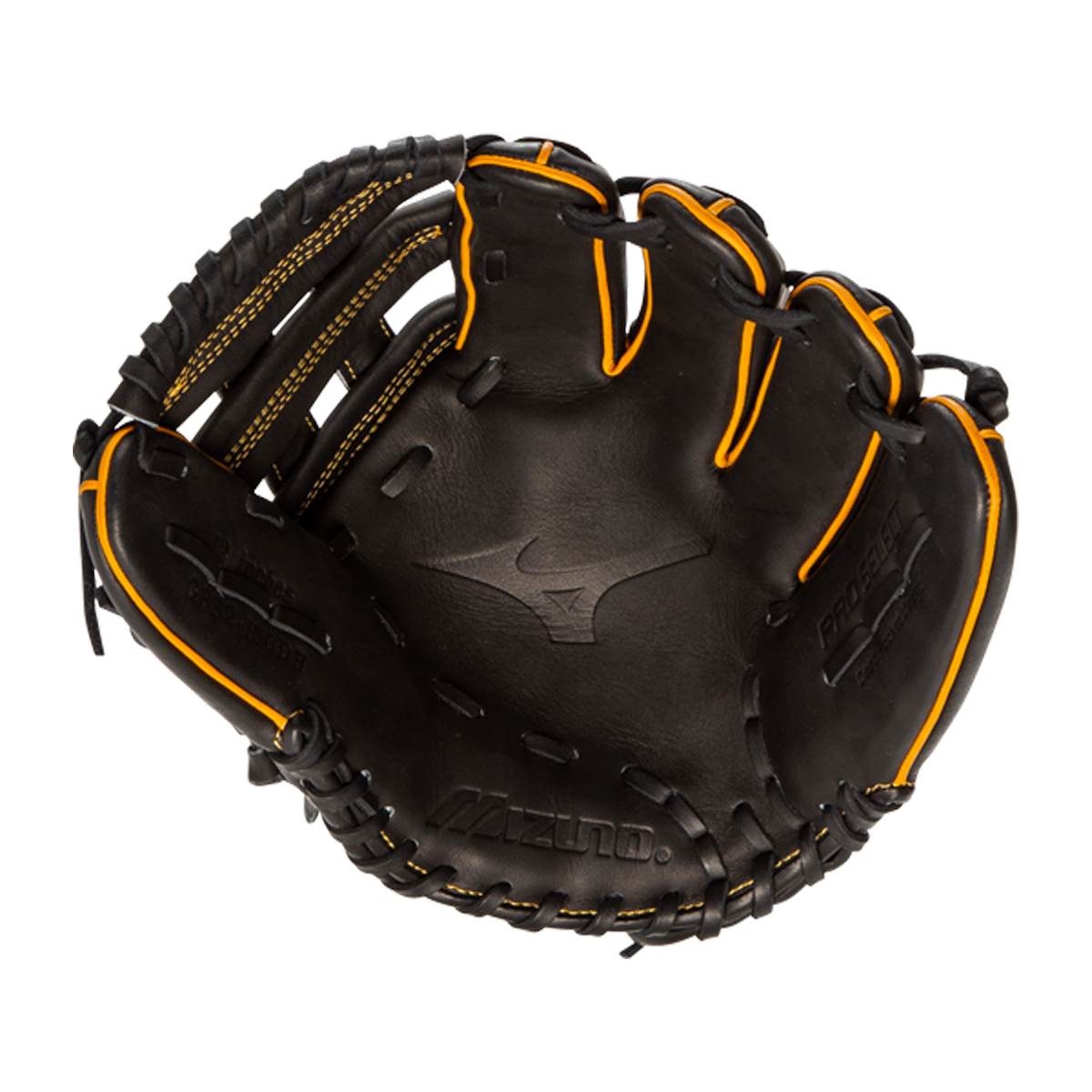 Mizuno Pro Select 12" Baseball Glove: GPS2-100DH: Image #405389