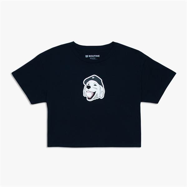 Stitches Cropped T-Shirt