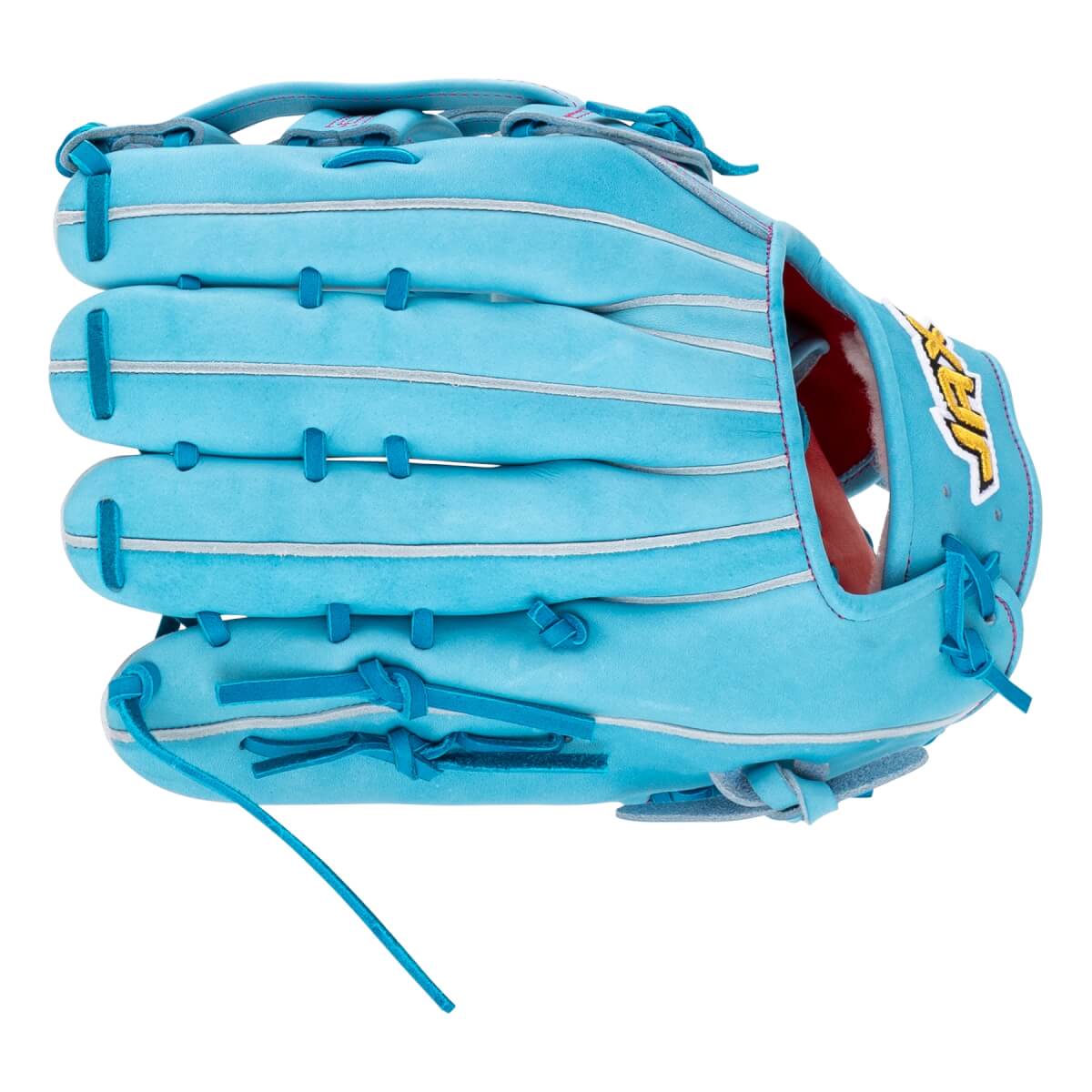 Jax 12.25" Exclusive Cherry Blossom Baseball Glove: LJ10SIFOFELBH: Image #463693