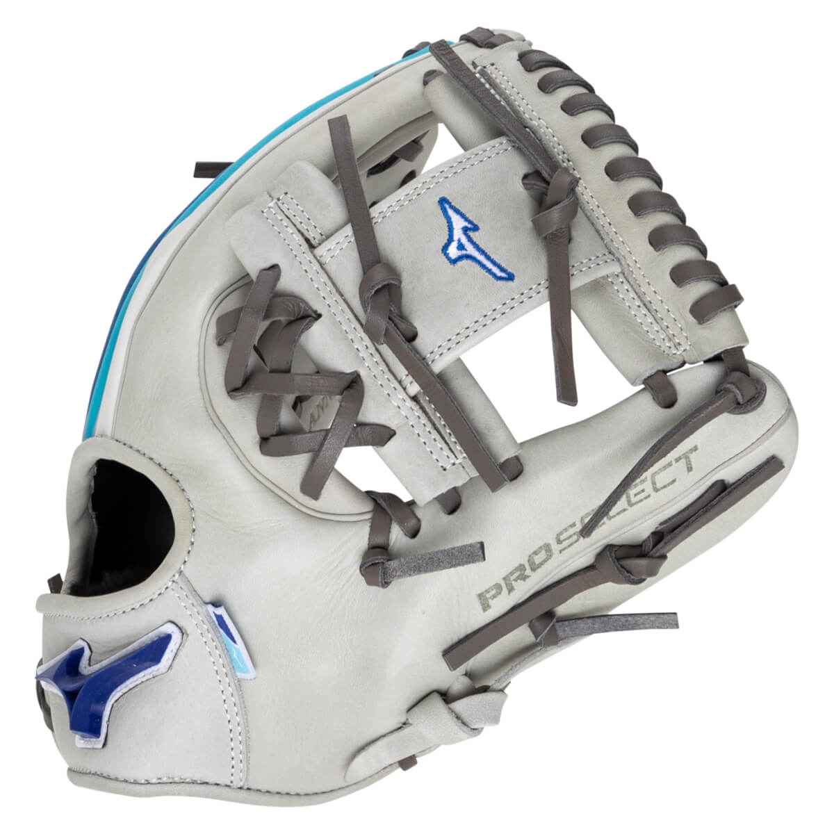 Mizuno Limited Edition Pro Select 120th Anniversary 11.5