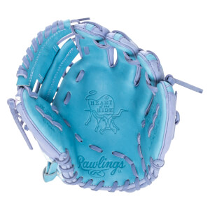 Top-down view of a blue and purple Rawlings baseball glove with "HEART OF THE HIDE" and "Rawlings" logos.