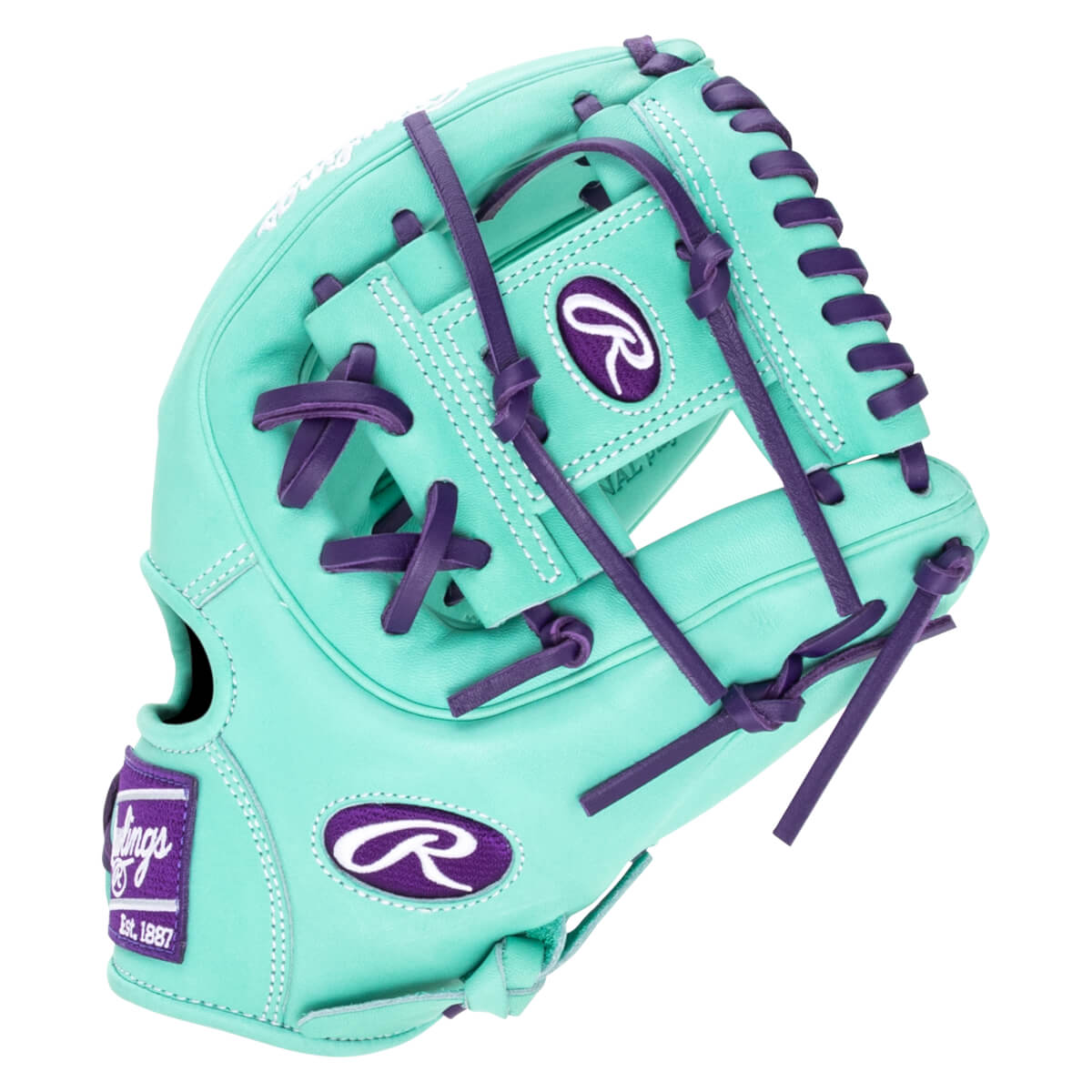 Front view of a teal baseball glove with purple lacing and Rawlings logos.