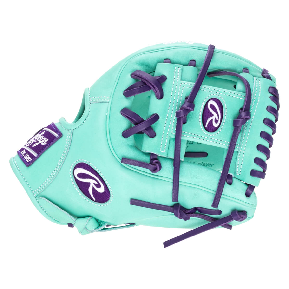 Front view of a teal baseball glove with purple lacing and Rawlings logos.