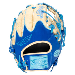 Front view of a blue and tan baseball glove with "Rawlings" logo and "Wing Tip" detail.
