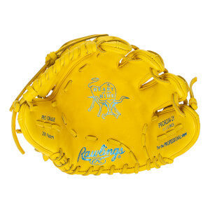 Rawlings Heart of the Hide ColorSync 9.0 11.5" Baseball Glove: PROR204-2Y: Image #455374