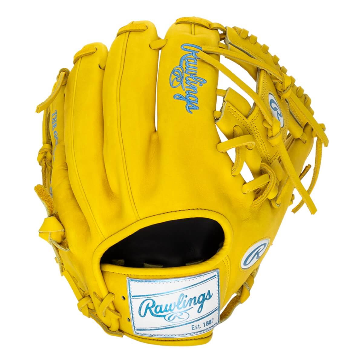 Rawlings Heart of the Hide ColorSync 9.0 11.5" Baseball Glove: PROR204-2Y: Image #455375