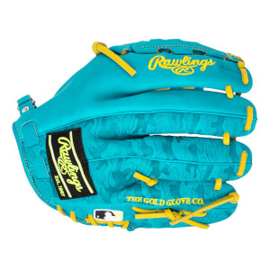 Rawlings Heart of the Hide ColorSync 9.0 12" Baseball Glove: PROR206CFB-11TE: Image #455303