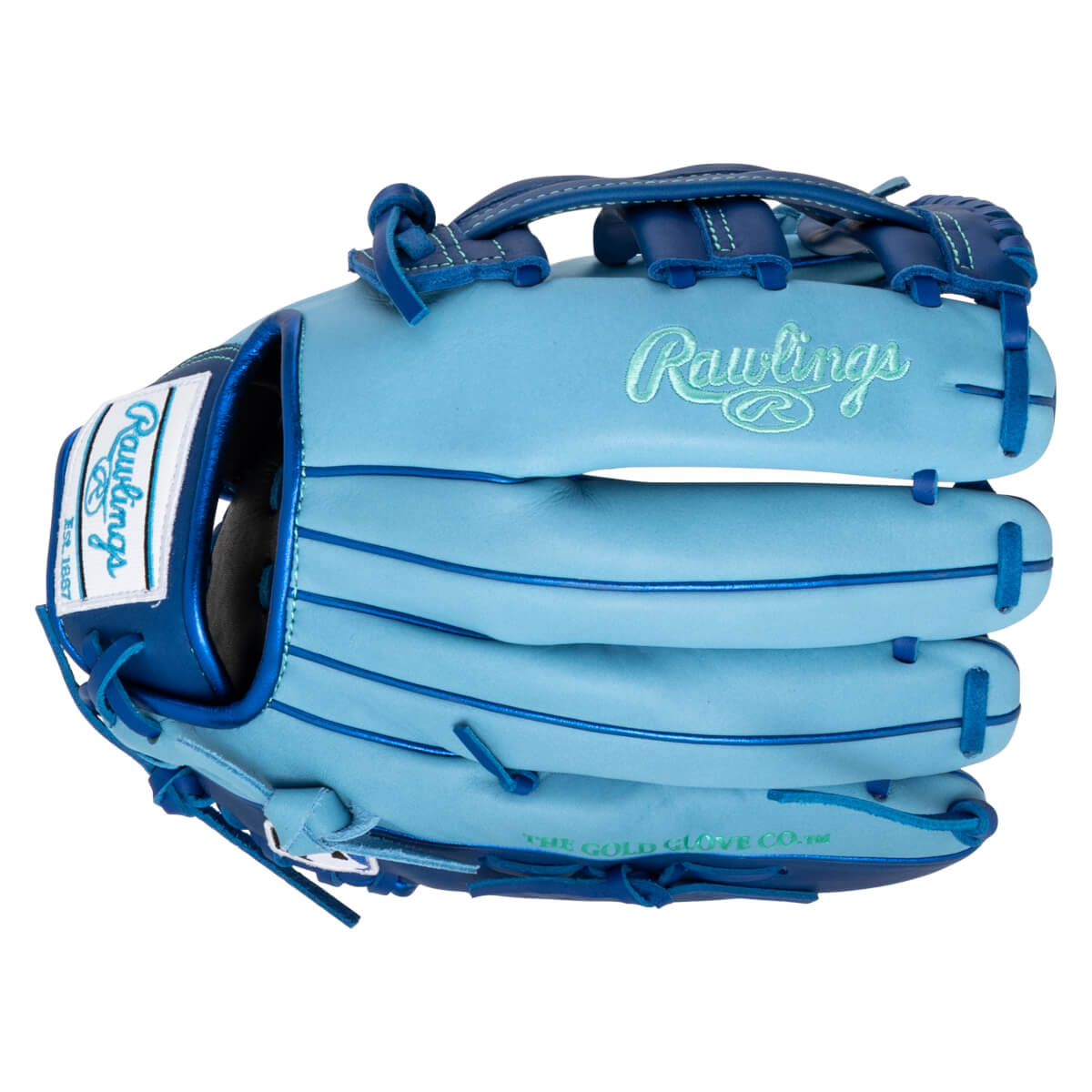 Front view of a light blue baseball glove with "Rawlings" embroidered in green and "THE GOLD GLOVE CO.TM" on the palm.