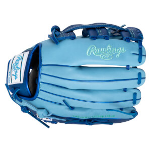 Front view of a light blue baseball glove with "Rawlings" embroidered in green and "THE GOLD GLOVE CO.TM" on the palm.