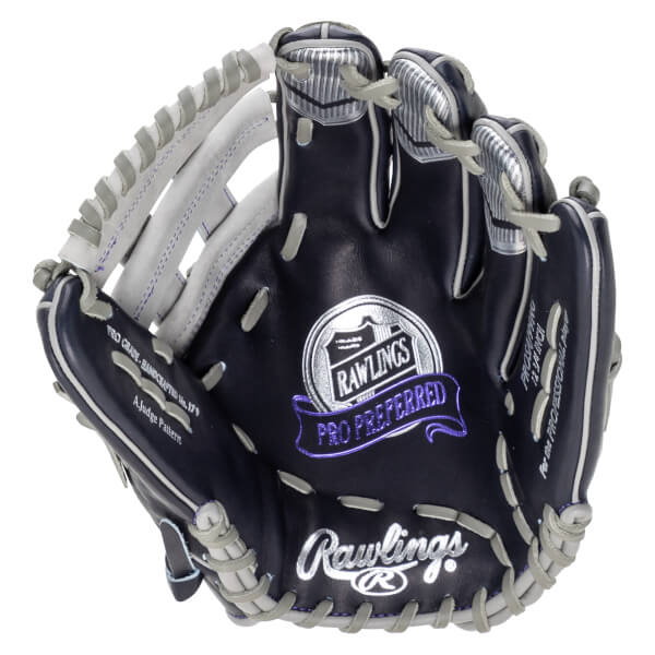 Top-down view of a navy baseball glove with silver Rawlings logo and "PRO PREFERRED" text.