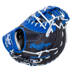 Side view of a navy and royal blue Rawlings baseball glove with white lacing and "Rawlings" and "The Gold Glove Co." text.