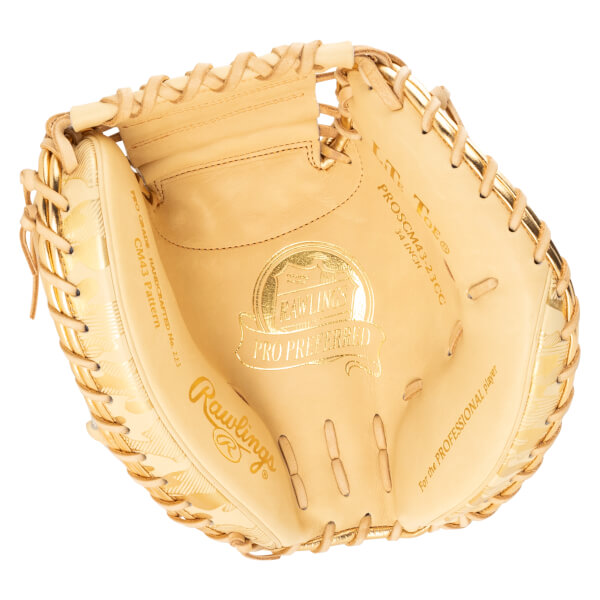 Top-down view of a Rawlings Pro Preferred catcher's mitt with gold accents and "PRO PREFERRED" text.